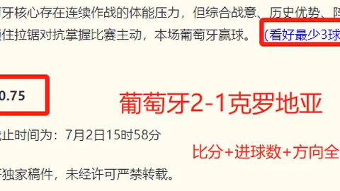 越南联赛焦点战解析世界杯2026买球平台：芹苴鲶鱼对决岘港巨龙，终极对决回顾